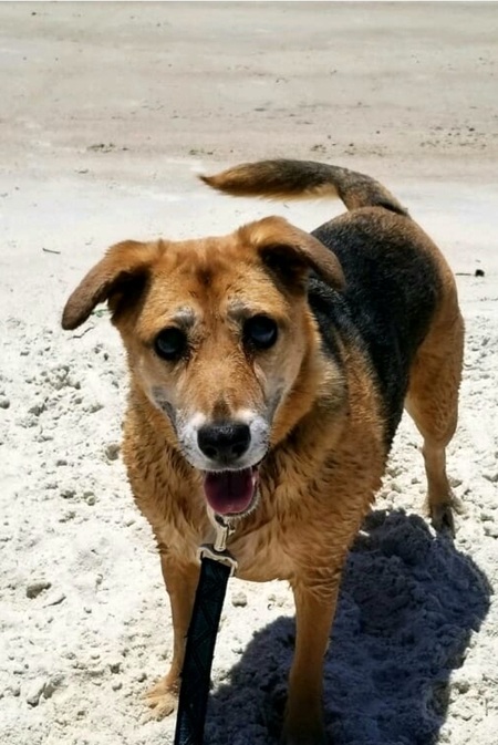 Kali