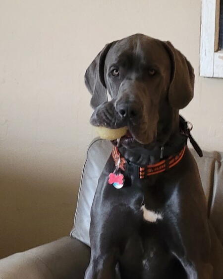 Walter