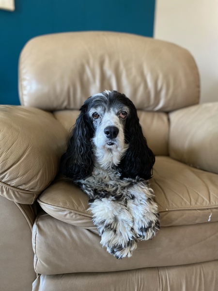Molly