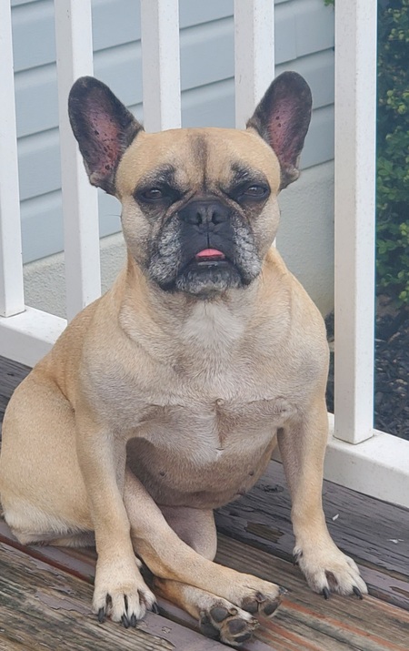 Bailey
