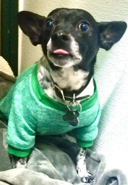 Oscar 