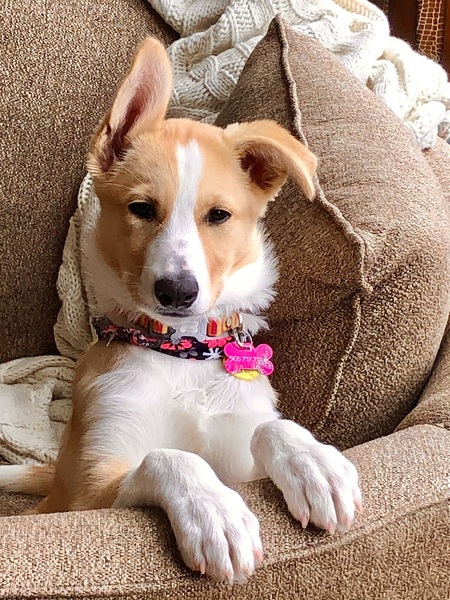 Allie ( Alice)