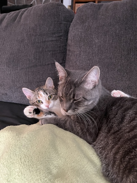 Pumpkin and Yoshi 