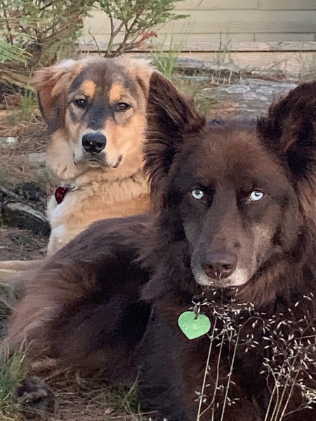 Fernie & Sage