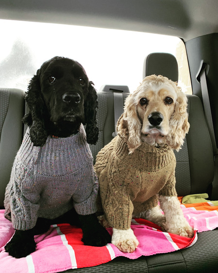 Jax and Leo