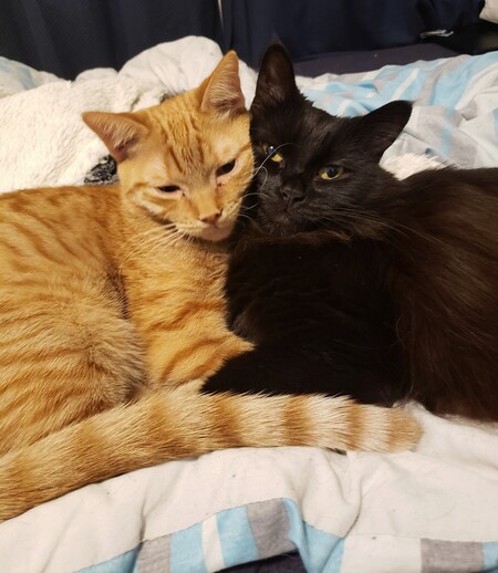 Dewey and Beauty