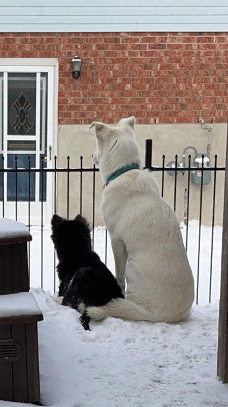 Leo & Winnie