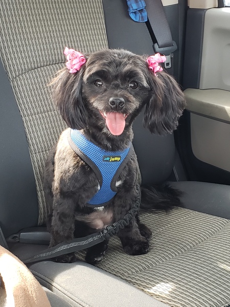 Luna