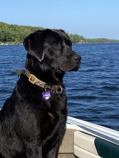 Opie