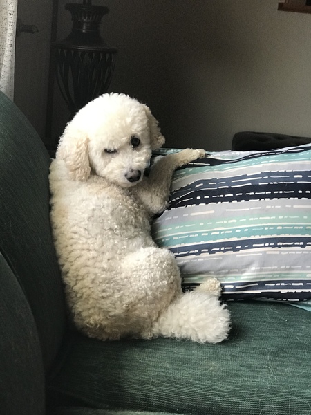Marley 