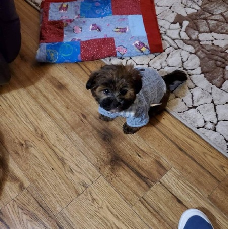 Sir Winston