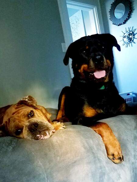 Jinx & Diesel