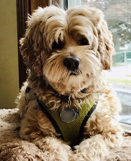 Otis