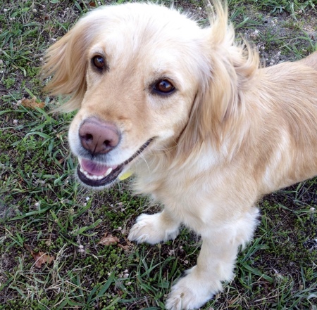 Ellie