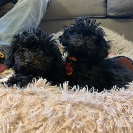 Zoey and Grace 