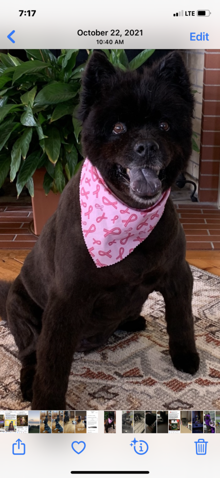 Dora