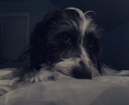 Max