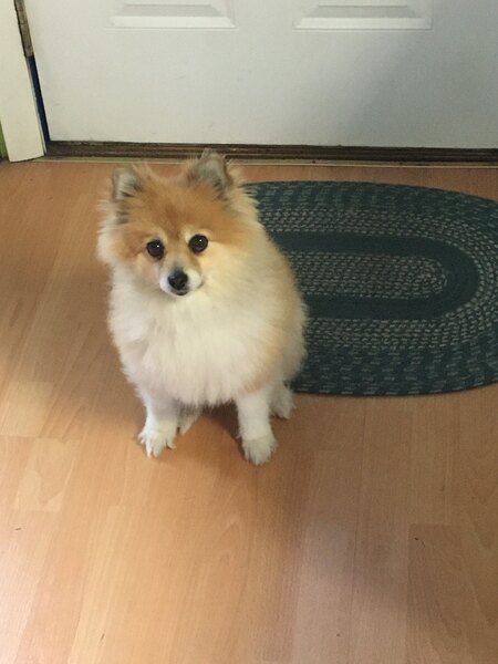 Lola