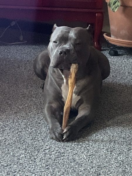 Xena
