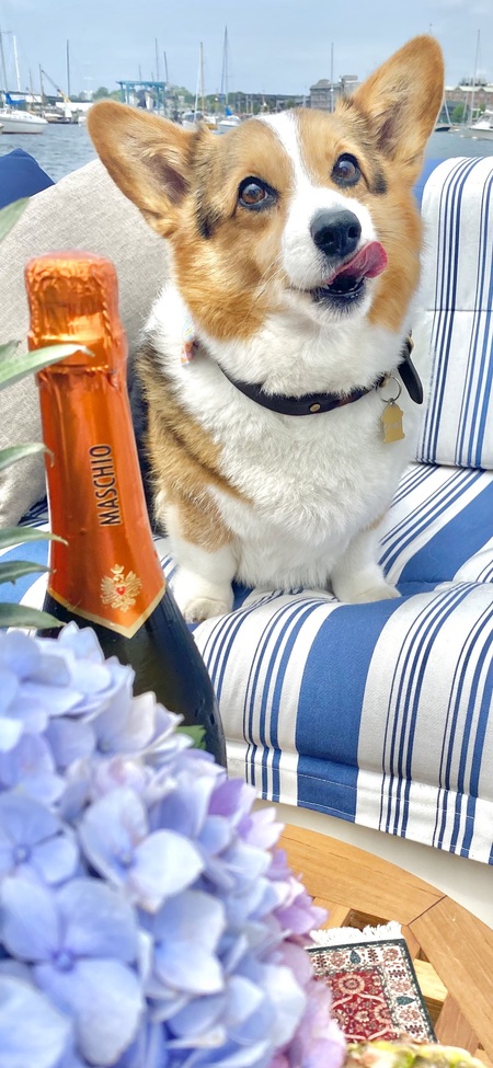 Gambit Gibson