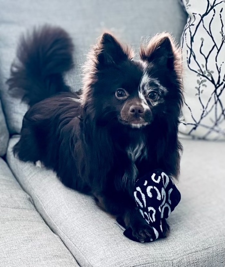 Maizie Lu