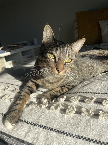 Beau