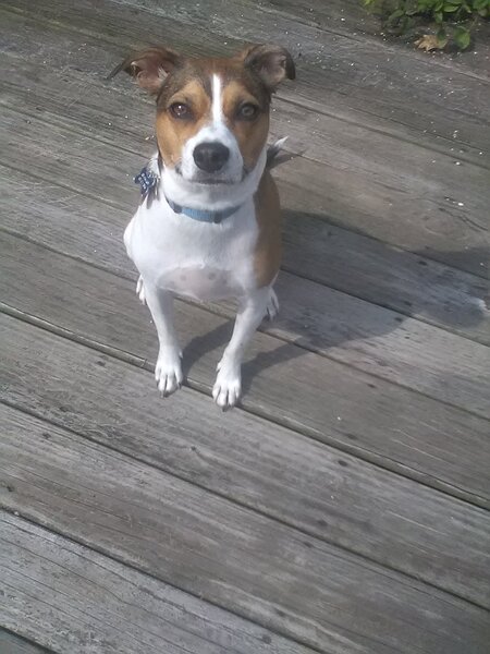 Maddie