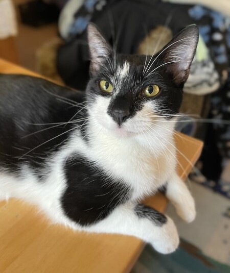 Binx