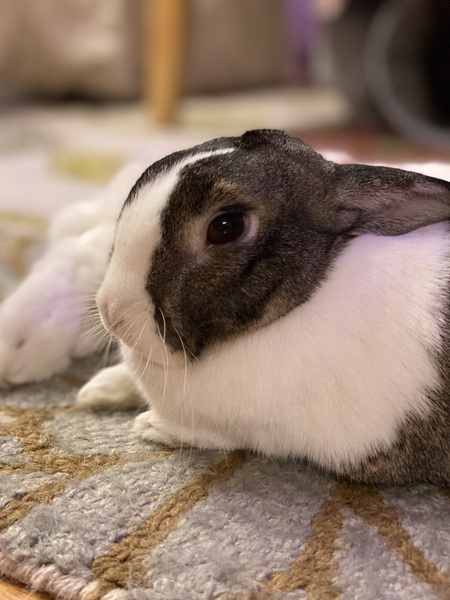 Winnie