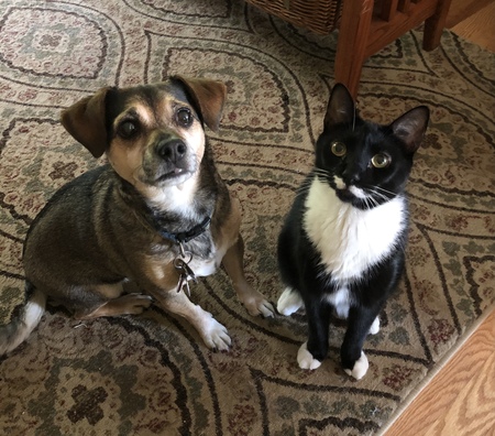Rocky and Dudley