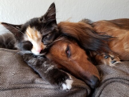 Lady Toe Beans and Harley Mae