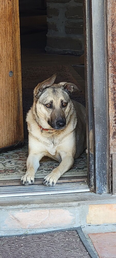 HazelBelle