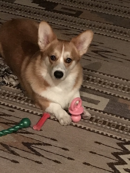Fergus