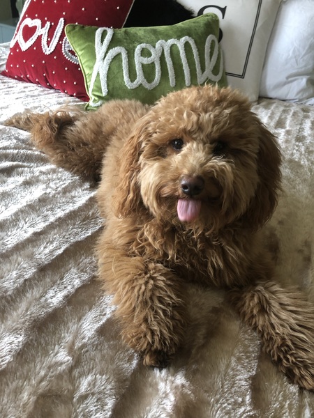 Lorenzo