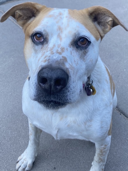 Sophie