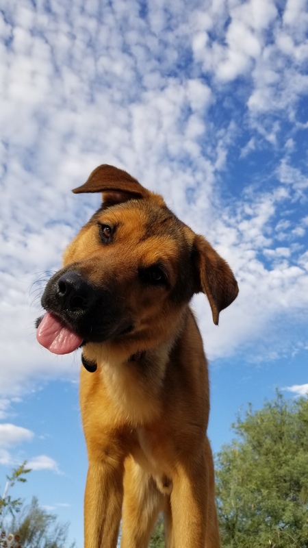 Murphy