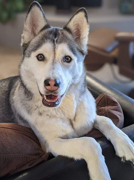 Misha