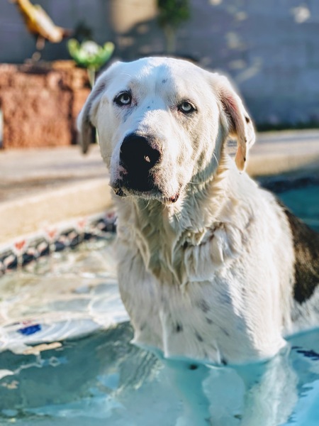 Sebastian