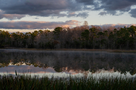 Morning Reflections