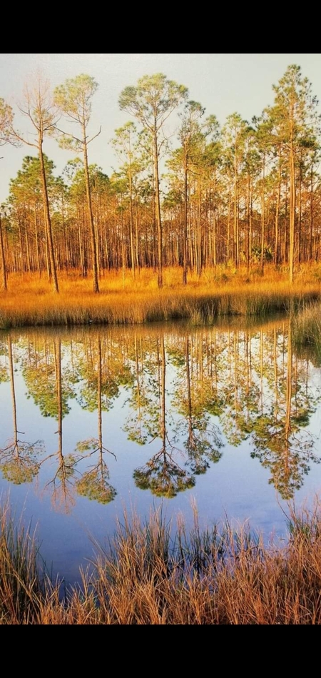 Autumn Splendor