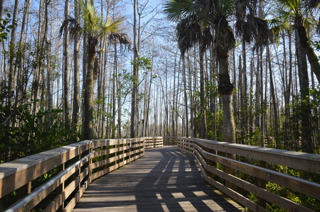 On the Boardwalk