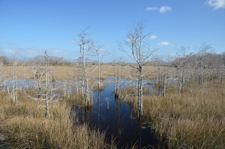 Beautiful Day at Grassy Waters