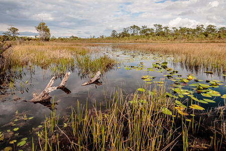 Long View - Grassy Waters West