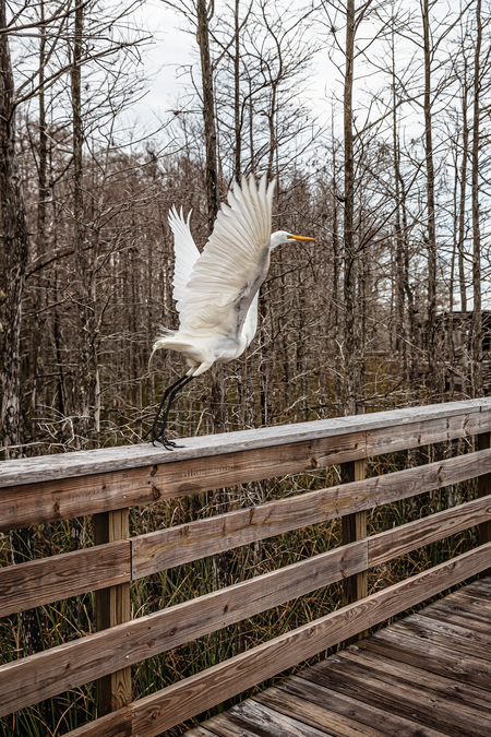 Graceful Take-Off