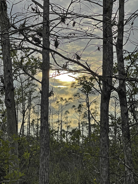 Spooky Sunset