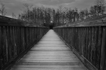 Boardwalk to excitement