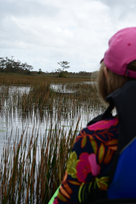 Riding the grassy waters in a tandem; what fun !!