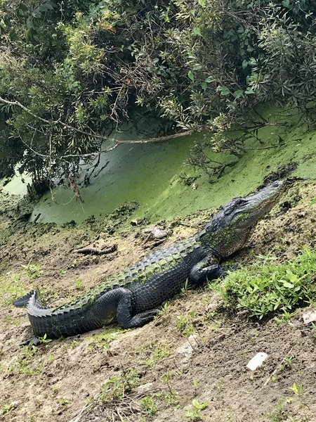 Soaking up the Sun