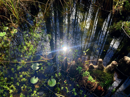 As Above, So Below