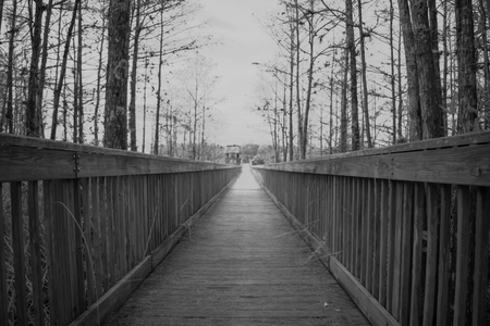 B&W Boardwalk